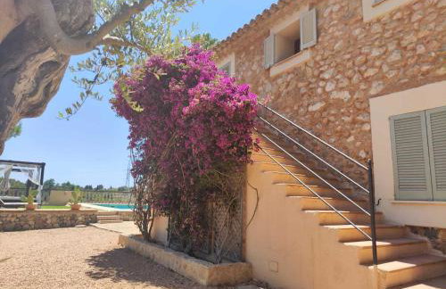 Agroturismo Son Bauzanet - Foto 51