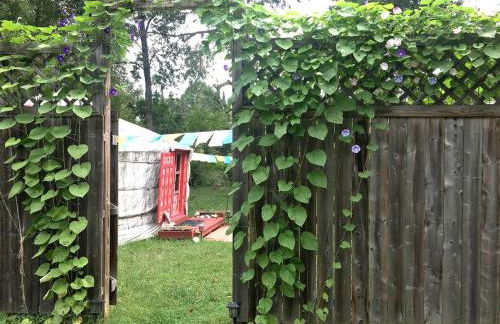 Authentic Mongolian Yurt for a Serene Healing Retreat in Saratoga Springs, New York - Foto 16