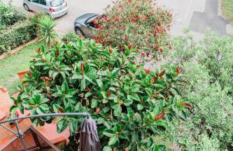 Stella Maris Holidays - Foto 50