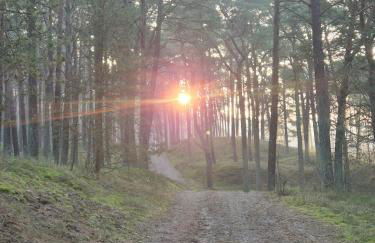 FeWo Renken - Foto 34