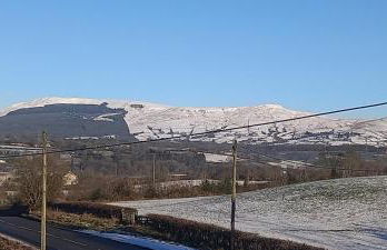 Butterflies Rest - Foto 40