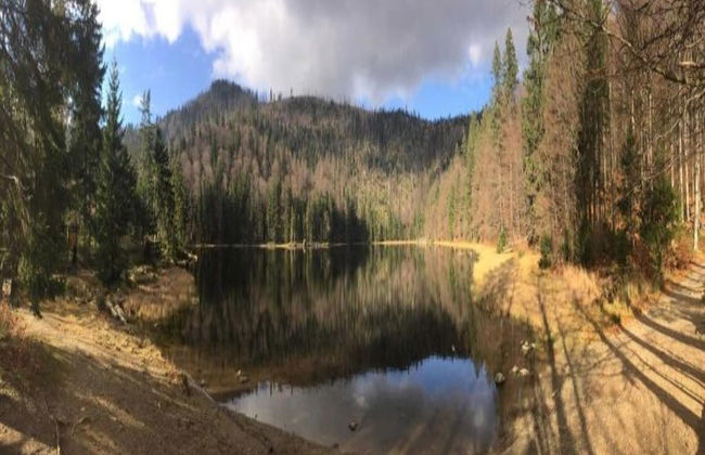 Chalet in Saldenburg Near Hiking Trails - Photo 30