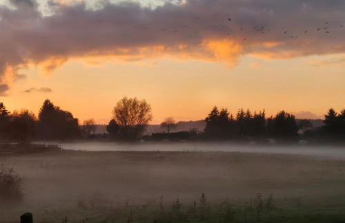 FeWo Am Wald - Foto 28