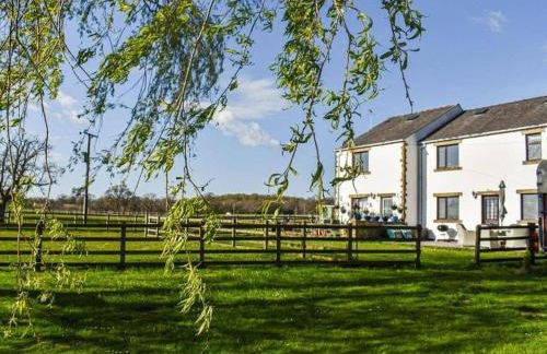 Mallard at Spring Head Farm - Foto 3