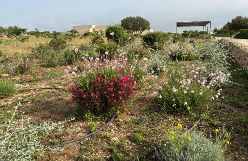 FICOMORO FARM - Foto 24