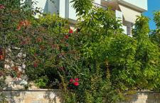 Near the Airport & near the Metro and Suburban station"PEANIA-KANTZA" - Foto 22