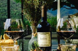 AGRITURISMO CA' FENILE - Foto 90