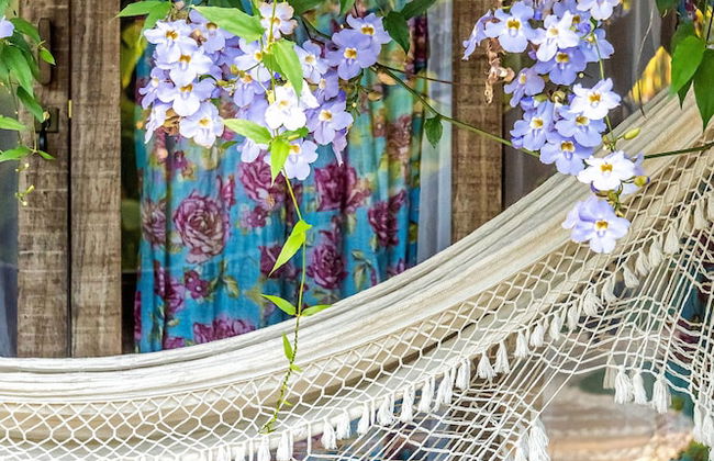 Vila Rudá - Photo 29