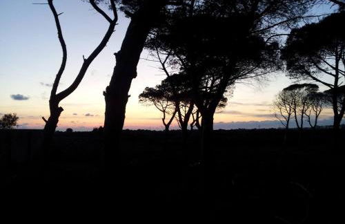 Casa Vacanze da Nonna Pia - Foto 48