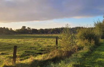 Ferienwohnung Moin Moor mit Klima, Fussbodenheizung und WLAN - Foto 20