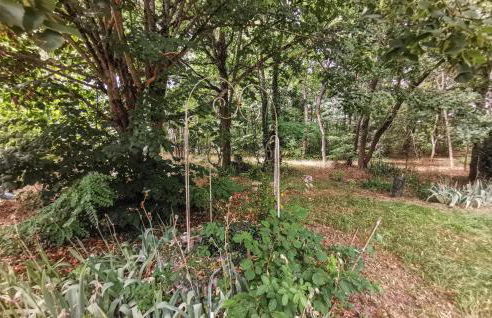 Nice Home In Selles-Sur-Cher With Wifi - Photo 10