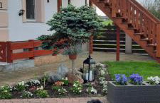 Liwa Garden Krzywa 11 - Foto 50