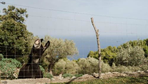 Casa "Tramuntana" - Foto 3