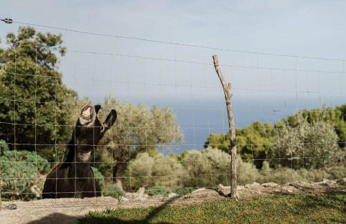 Casa "Tramuntana" - Foto 3