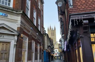 Cosy Central Canterbury - Modern Victorian - Foto 23