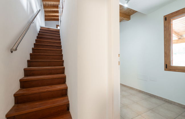 Eucalipto - Photo 27