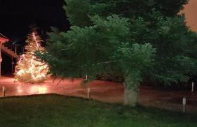 Studio Giannis, a breath away from Athens! - Foto 15