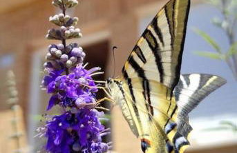 Casa con Jardín entre Toledo y Puy du Fou - Foto 10