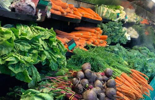 North Fork House for Rent - Photo 46