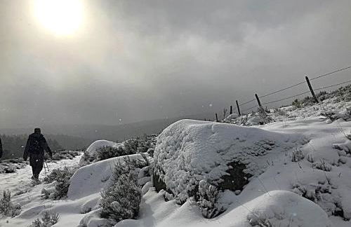 Gite l'Or des Cévennes - Foto 37