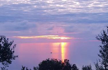 App Bonić - Foto 38