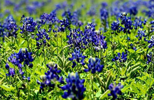 Lovely Lakeside Living - Foto 50