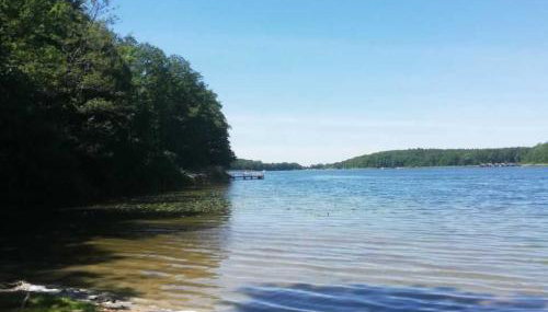 tierfreundliche Ferienwohnung - Foto 3