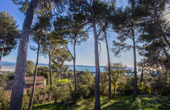 Mont des Oiseaux - Foto 33