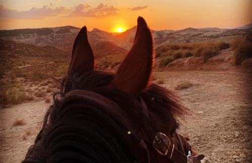 Apartamentos La Granja - Foto 15