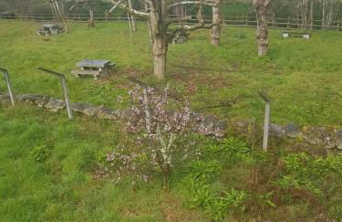 Casa do Porto - Foto 76