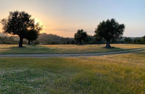 AGROTOPIA Guesthouses - Foto 37