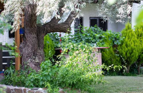 Villa Menie - Golden Fig Sykia lodge - Foto 49