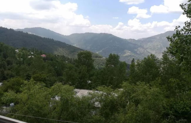 Green Valley Apartments - Photo 24