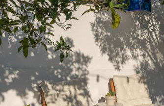 Yalee Grandpa's House - Foto 33