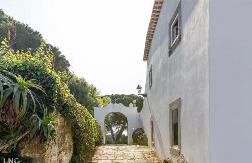 Quinta de Cima,No campo é Assim - Foto 17