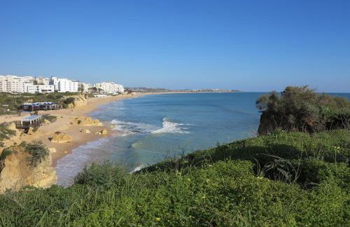 T1 - Miramar 3P - Foto 14