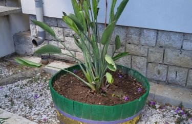 Apartman VeDE Baćina - Foto 18