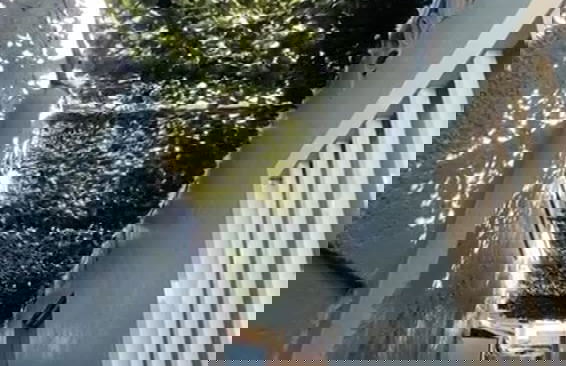 Alojamiento Santa Julia - Foto 32