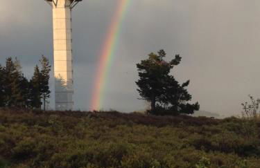 Haus Schnurbus - Foto 31