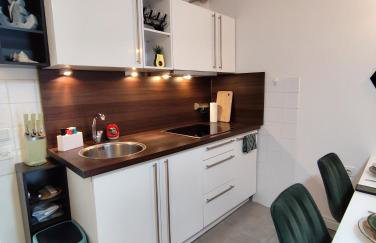 Ortopla Terrace Apartment Stinica - Photo 17