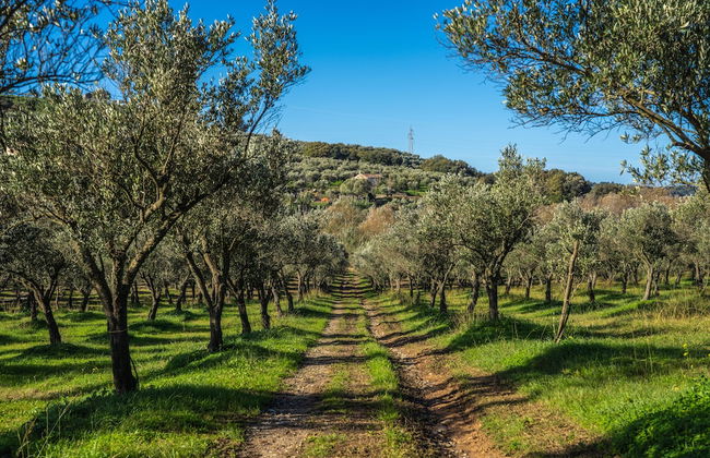 Agriturismo Costantino - Foto 66