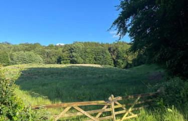 Unbox at Poplar Tree - Photo 35