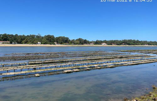 Appartement HOSSEGOR plage SUD Classé 3 étoiles - Foto 54