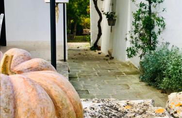 Masseria Trulli&Stelle B&B - Foto 29