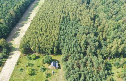 Baciki 61- domek przy lesie - Foto 4