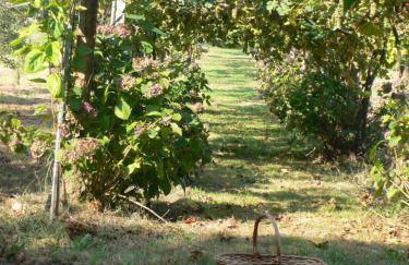 Casa do Tamanqueiro - Foto 27