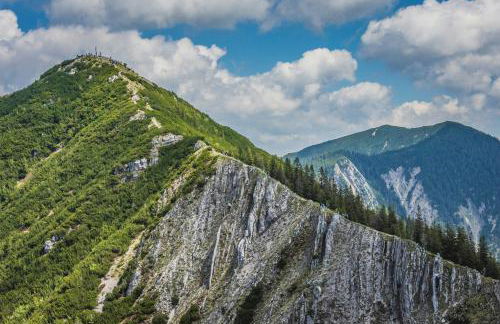 Ferienwohnung "Seeruhe" - Berge, See und Natur am Spitzingsee - Foto 18
