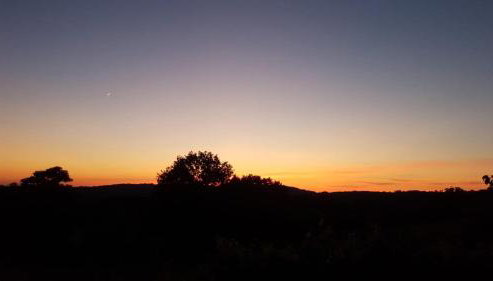 Les Roulottes Pomponnaises - Photo 4