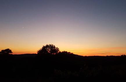 Les Roulottes Pomponnaises - Foto 4