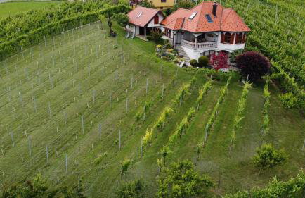 Villa Lotus - Foto 20